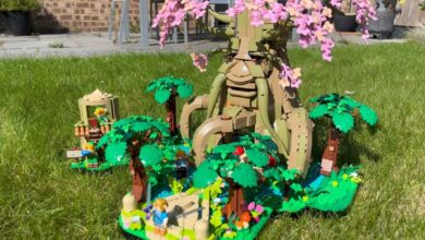 Review: LEGO The Legend Of Zelda - The Amazing Deku Tree 2 in 1 - A Great Debut With One Minor Annoyance