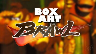 Brawl: Donkey Kong Country (GBA) Box Art