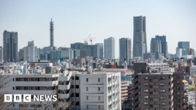 Japanese teenager jumps to his death, killing pedestrians below