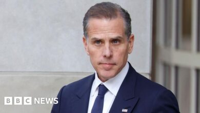 Hunter Biden makes final plea in tax case