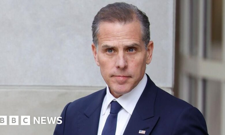 Hunter Biden makes final plea in tax case