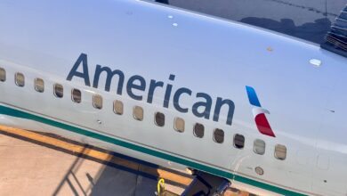 Check Your Account: Earn American Airlines Loyalty Points on Reward Flights (with Target)