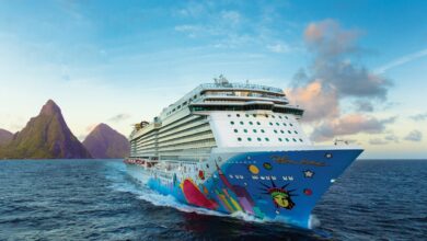 Norwegian Cruise Line ships ranked by size from largest to smallest — the full list