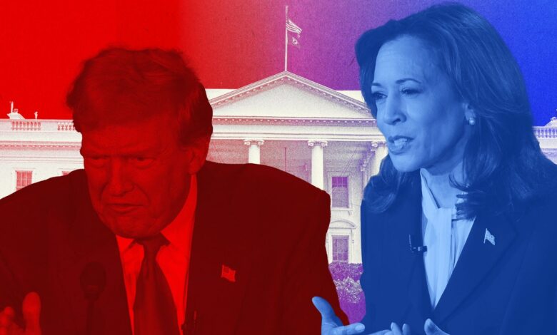 Kamala Harris Makes Donald Trump Look Silly and Small at 2024 Debate