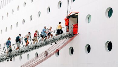 What is a cruise ship ladder?