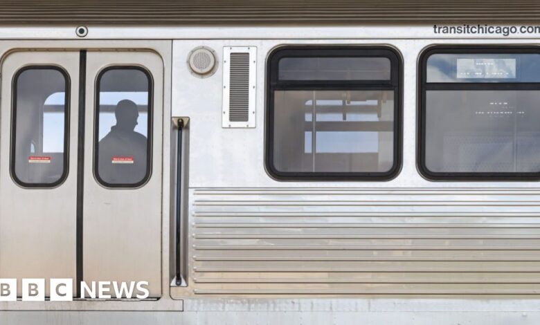 Man charged after four people shot dead on Chicago train