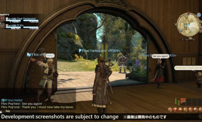 Final Fantasy XIV Chat Bubble, Strategy Board Features Being Tested