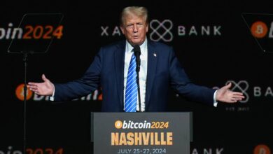 Trump's cryptocurrency project allows the former president's family to earn 75% of the revenue