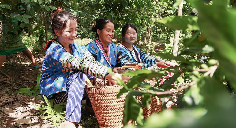 Farmers build a opium-free future for Lao PDR