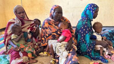 World News Summary: Famine in Sudan, 400,000 people from Lebanon now in Syria, women in the army, olive farmers in Palestine