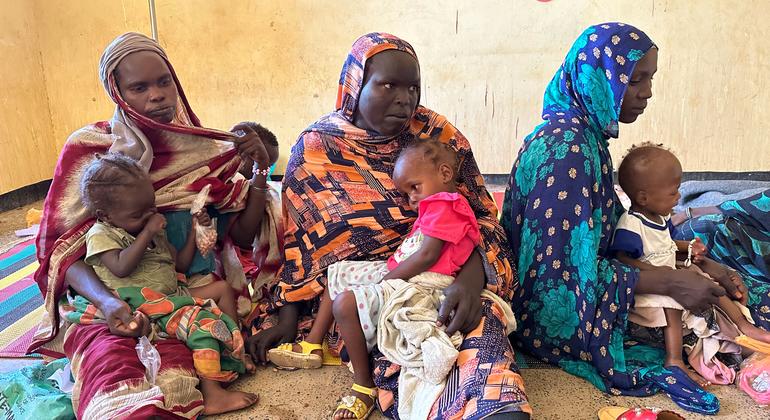 World News Summary: Famine in Sudan, 400,000 people from Lebanon now in Syria, women in the army, olive farmers in Palestine