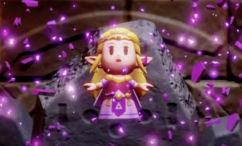 The Legend Of Zelda: Echoes Of Wisdom Version 1.0.2 is out now, here are the full patch notes