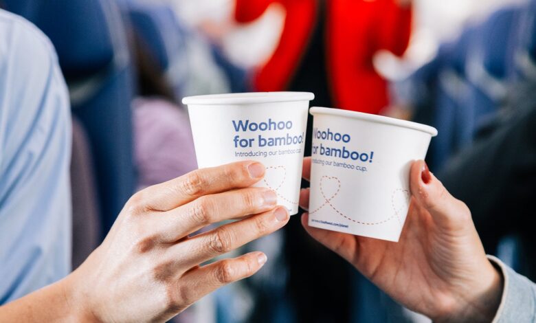 Southwest Airlines switches to using bamboo cups to reduce plastic