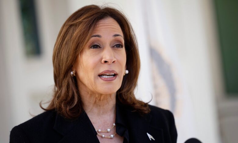 Kamala Harris asks Americans: Are you really going to elect someone who has good things to say about Hitler?