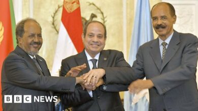 Eritrea, Egypt and Somalia strengthen 'axis against Ethiopia'