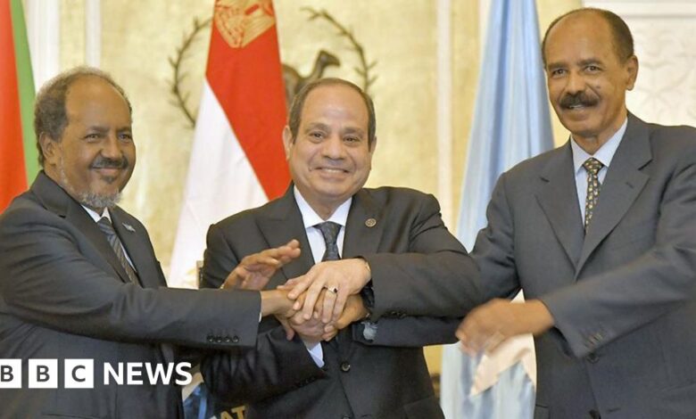 Eritrea, Egypt and Somalia strengthen 'axis against Ethiopia'