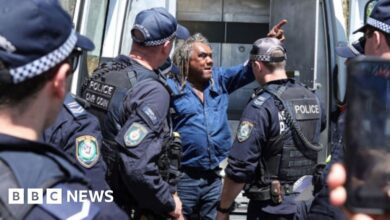 Aboriginal protesters arrested during King Charles's visit to Sydney