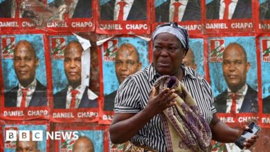 The EU says the election results in Mozambique are being proven