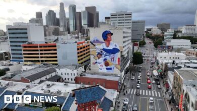 Dodgers fan Shohei Ohtani takes over Los Angeles