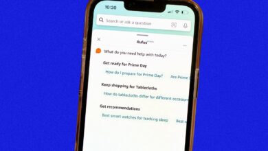 Amazon's Rufus AI shopping assistant now allows some shoppers to check price history