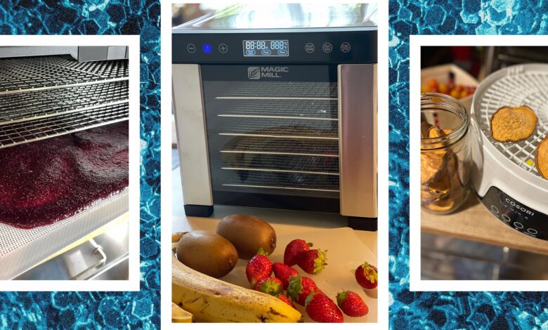 5 best food dehydrators, tested and reviewed