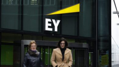 EY fires employee for attending two video training meetings at the same time