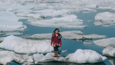 Adapt or perish: UN calls for urgent action at COP29 climate summit