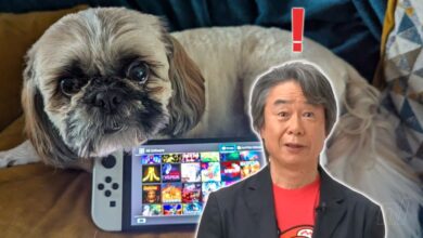 Random: Don't let your Wii pet on your Switch, warns Nintendo