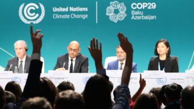 COP29 gets boost from Rio as G20 leaders return to scaling climate finance from 'billions to trillions'