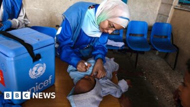 Polio vaccination in Gaza continues in the north of the territory