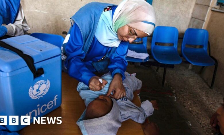 Polio vaccination in Gaza continues in the north of the territory