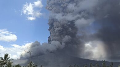 Bali volcano erupts: How to check online if your flight is canceled