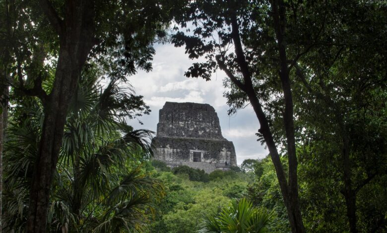 How a PhD student discovered a lost Mayan city hundreds of miles away