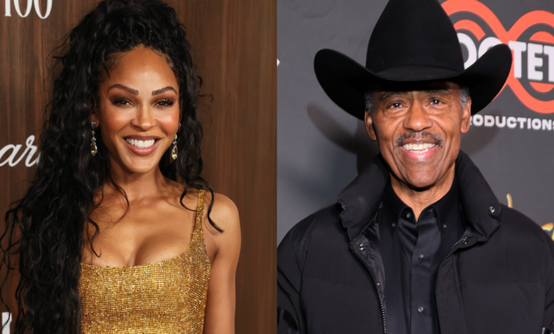 Social Media Cuts UP After Richard Lawson Drops THIS Message Under Meagan Good's Video