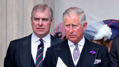 King Charles cut off Prince Andrew's finances and now they are said to say nothing