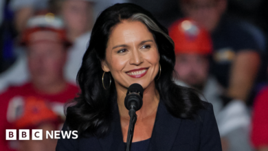 Who is Tulsi Gabbard, Trump's new director of national intelligence?