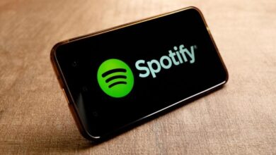 Spotify cracks down on piracy, banning users of the app ahead of the release of Wrapped 2024