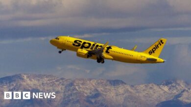 Airlines suspended flights when Spirit plane was hit by bullets