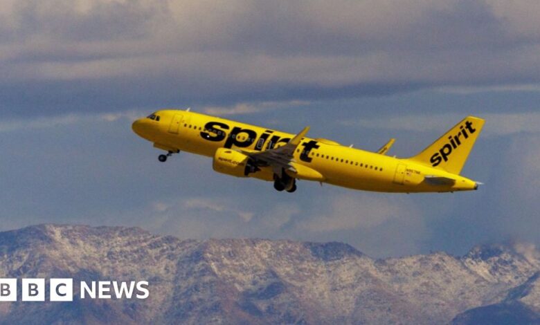 Airlines suspended flights when Spirit plane was hit by bullets