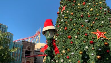 TPG's guide to Christmas at Universal Orlando