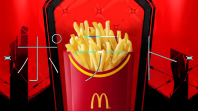 kanaria fries mcdonald's