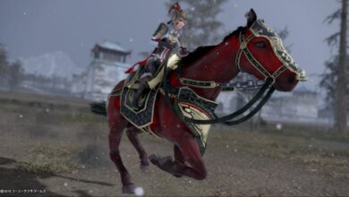 Lu Lingqi in Dynasty Warriors 9 - might be missing in Origins