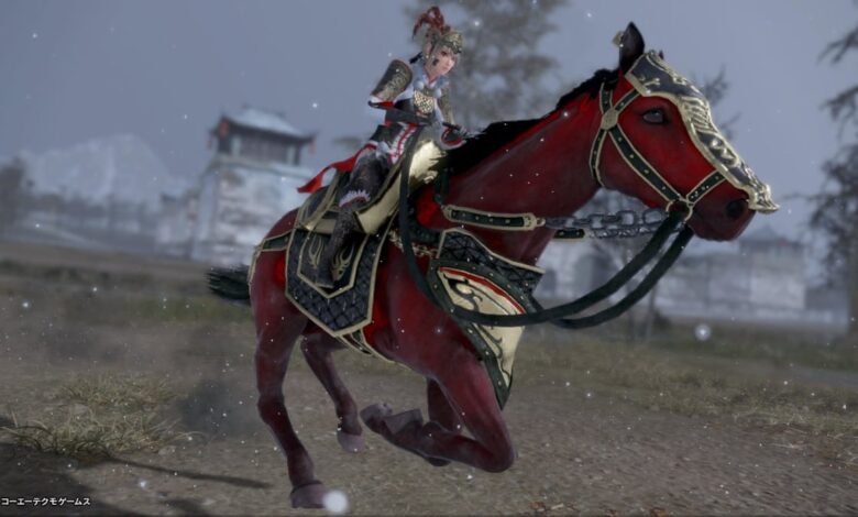 Lu Lingqi in Dynasty Warriors 9 - might be missing in Origins