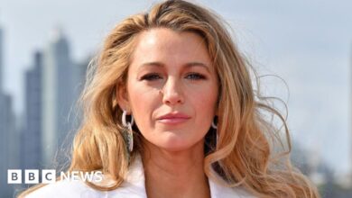 Blake Lively's statements against Justin Baldoni have highlighted Hollywood's 'hostile' tactics