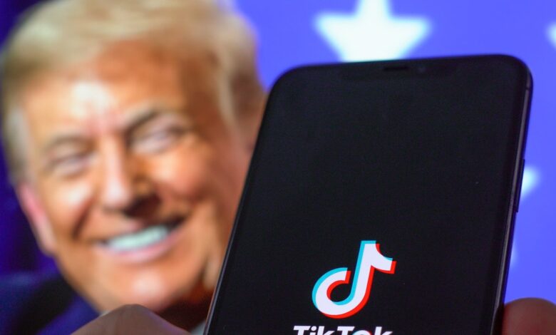 Donald Trump called on the Supreme Court to pause its decision to ban TikTok until after taking office