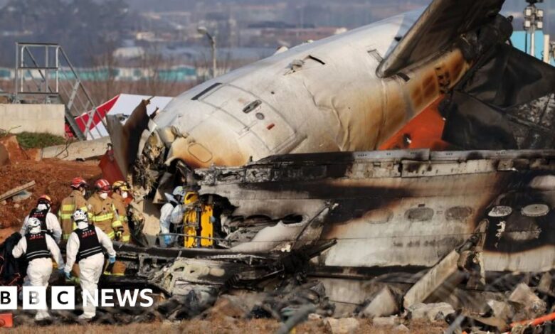 179 people died in the Jeju Air plane crash in South Korea