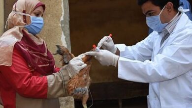 The United Nations health agency said bird flu has appeared in 108 countries across five continents.