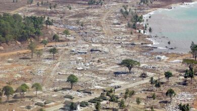 Indian Ocean Tsunami Commemoration: A Call to Protect Future Generations