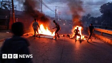 Hundreds of people fled Maputo prison amid election protests