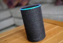 Amazon Alexa 2024 Wrapped: Here's what users asked the voice assistant in India